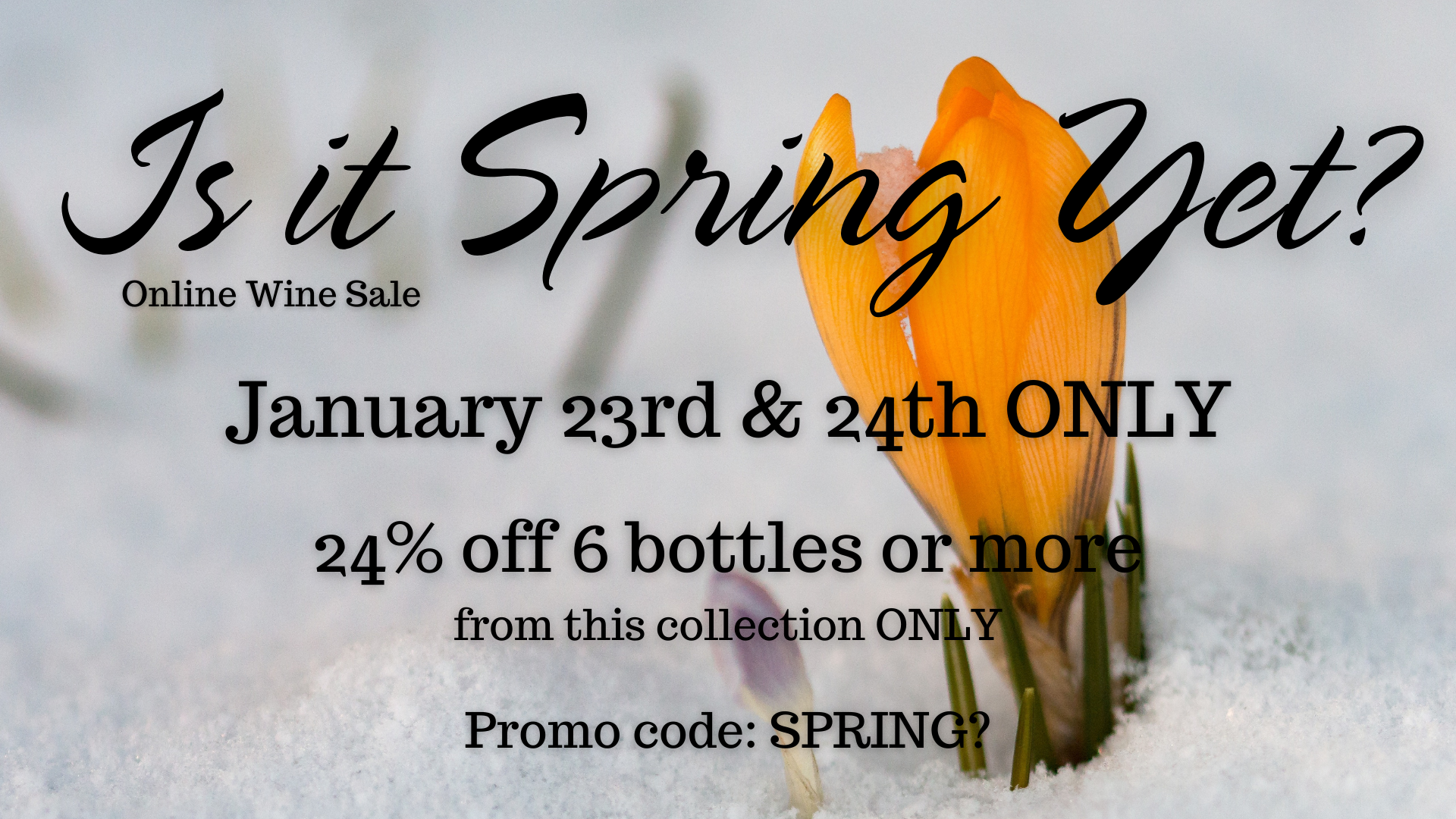 Is it spring yet? β Banks Wines & Spirits