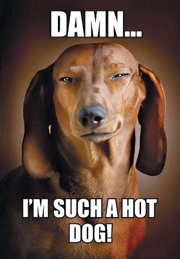 DAMN...I'M SUCH A HOT DOG