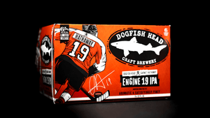 DOGFISH ENGINE 19 IPA 6PK CAN