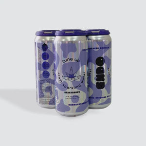 ENDO BLACKBERRY 10MG THC 20 CBD 4PK 16OZ