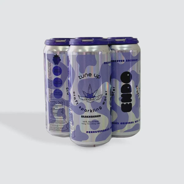 ENDO BLACKBERRY 10MG THC 20 CBD 4PK 16OZ