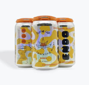 ENDO MANGO 4MG THC 20 CBD 4PK