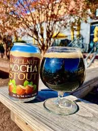 EVOULUTION MOCHA STOUT 6PK CAN