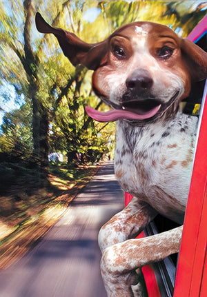 WISHING YOU MILES OF SMILES